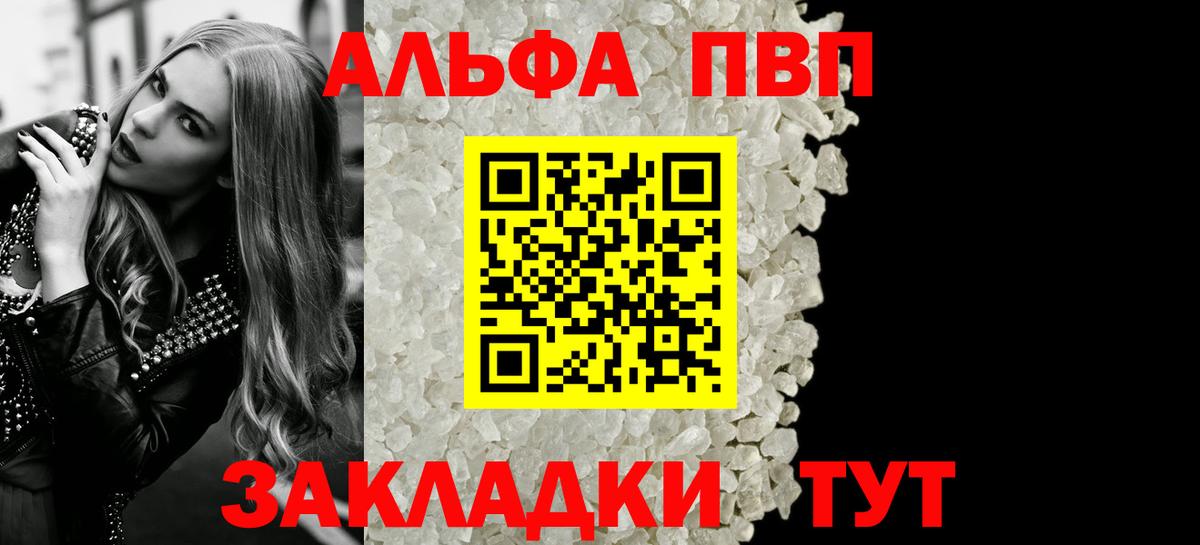 Альфа ПВП СК Вологда