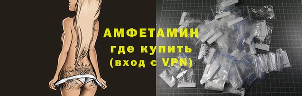 шишки Магас