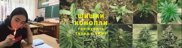 шишки Алзамай