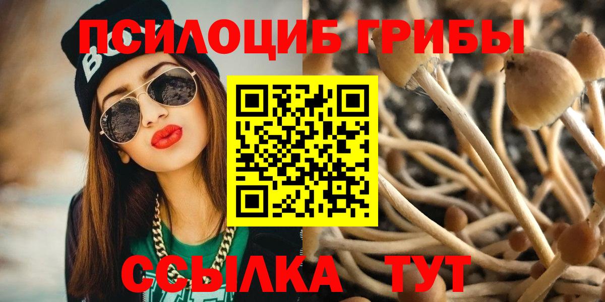 Галлюциногенные грибы Cubensis Вологда