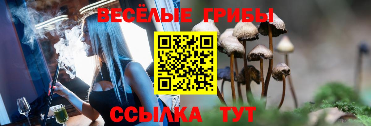 Псилоцибиновые грибы Psilocybine cubensis  Вход с VPN  Псилоцибиновые грибы Magic Shrooms  Вологда 