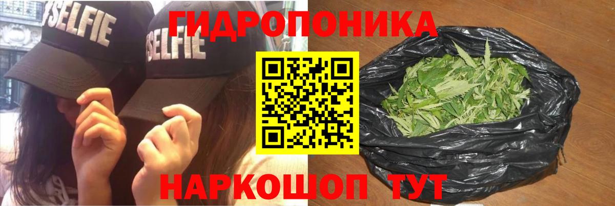 Канабис конопля  Вход с VPN  Бошки Шишки THC 21%  Бошки Шишки ГИДРОПОН  Вологда 